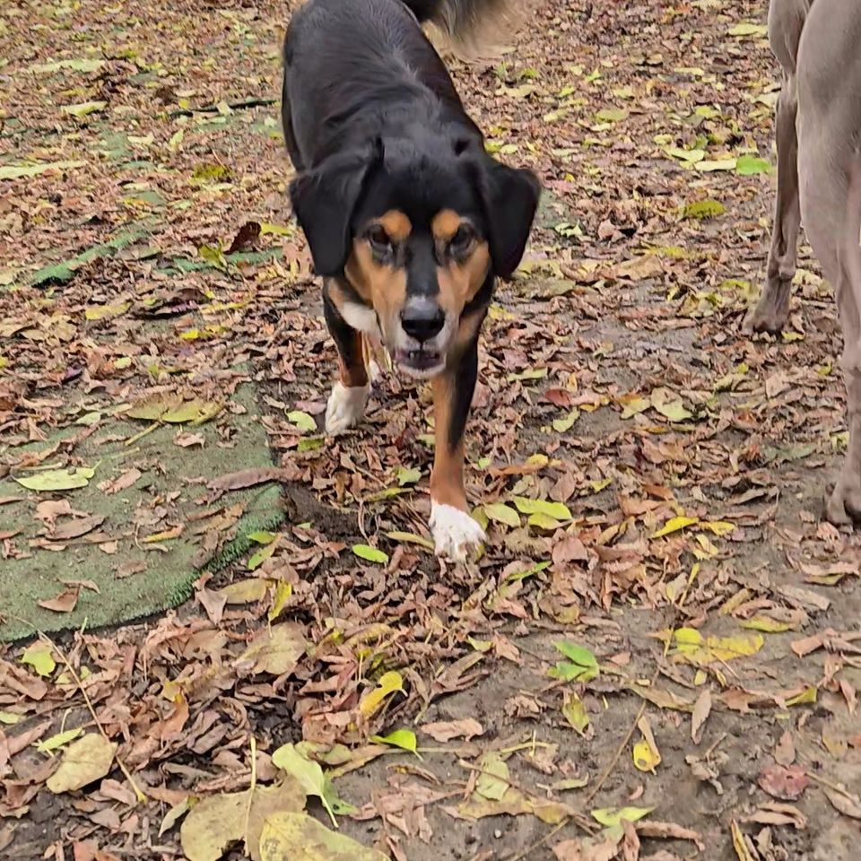 20251031 122048 exported 56553