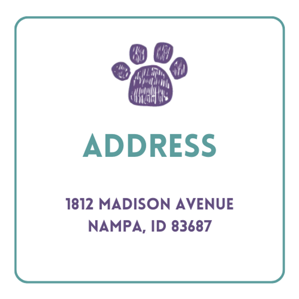 Doodle dog address box (1)