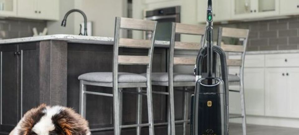 350666886 316506960958307 6030403395111314399 n