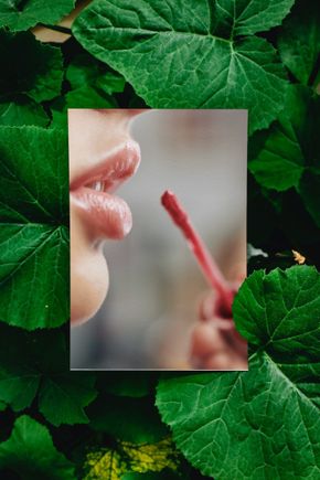 Thumbnail img 1517