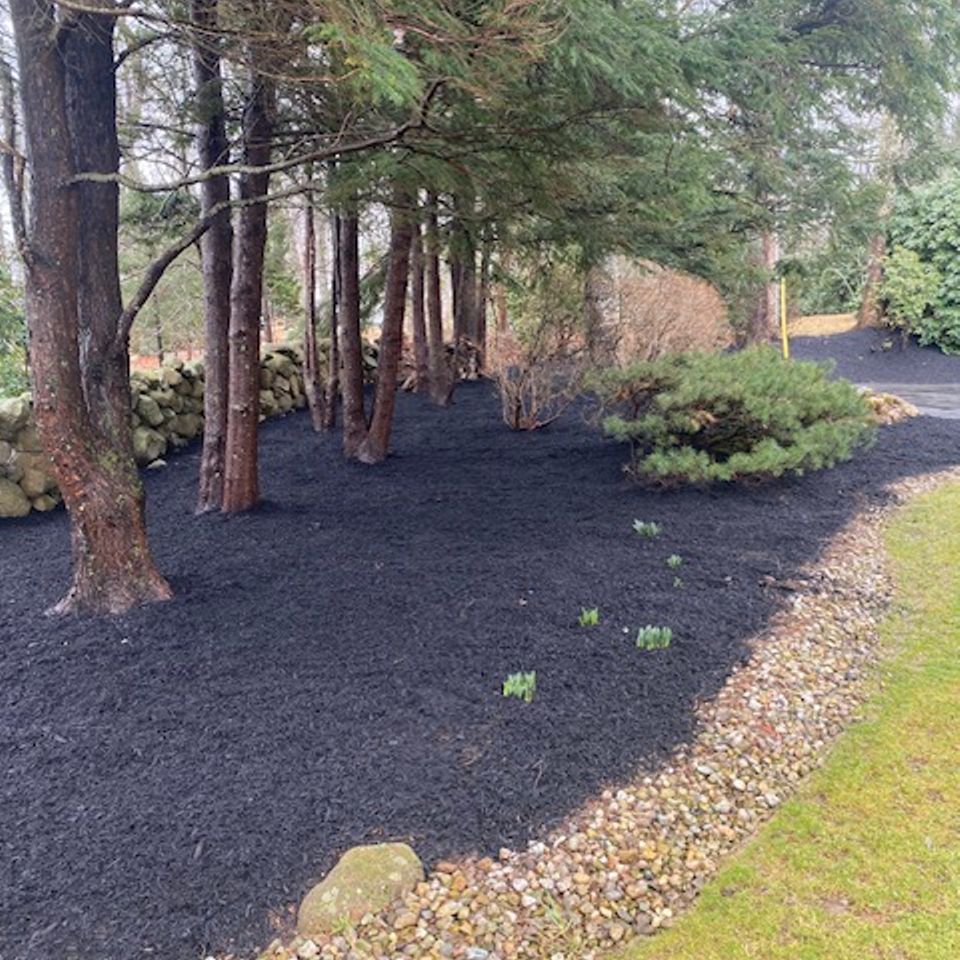 Sullivan mulch woods