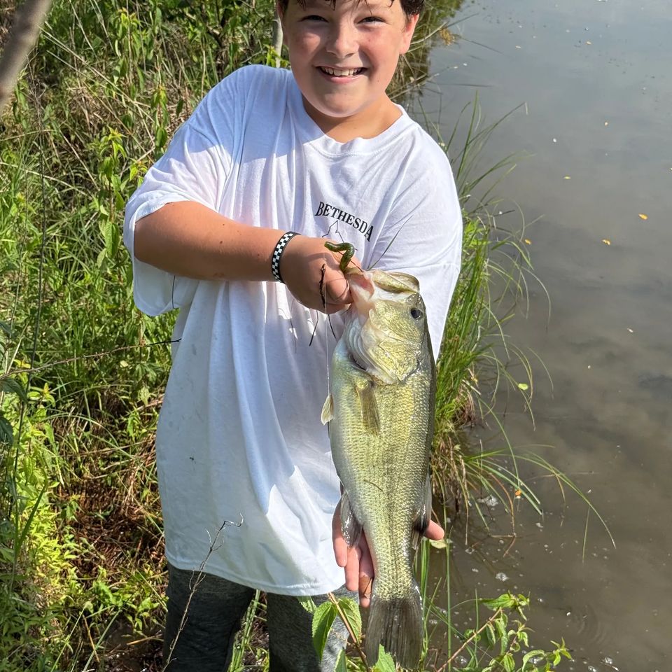 Jaxson Severt