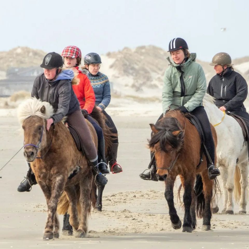 Pony Rides