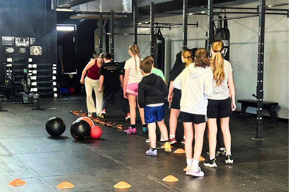 Next level training website (3)