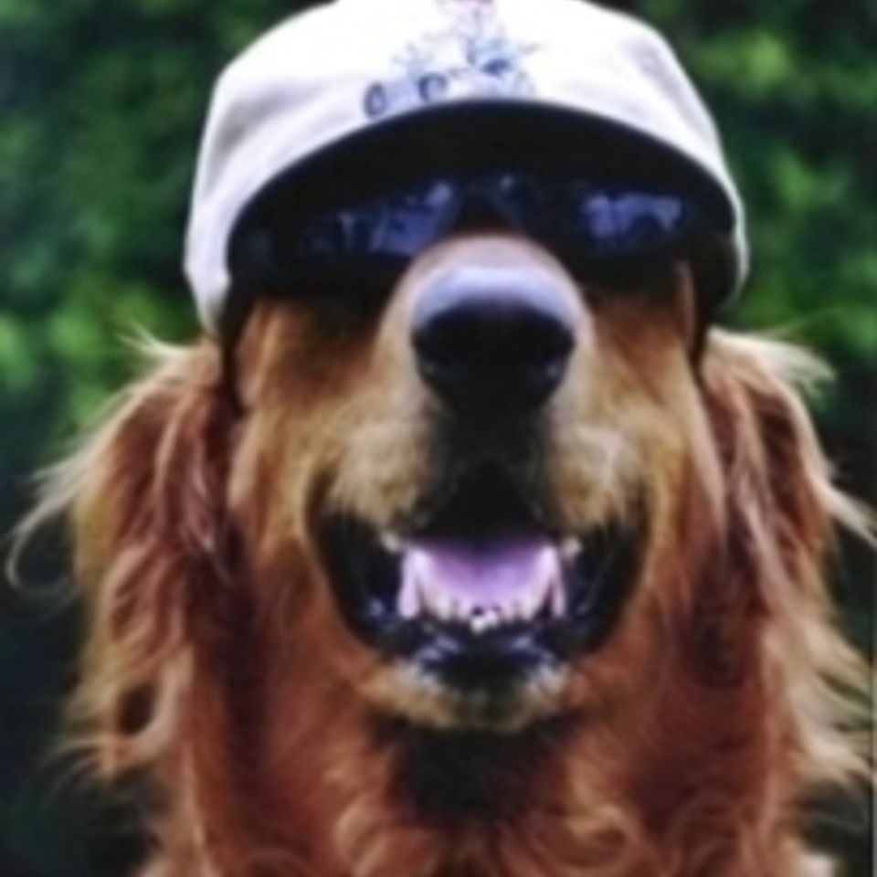 Bo hat shades