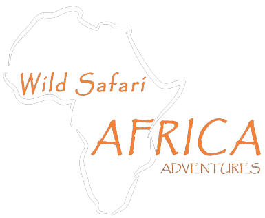  Wild Safari Africa Adventures