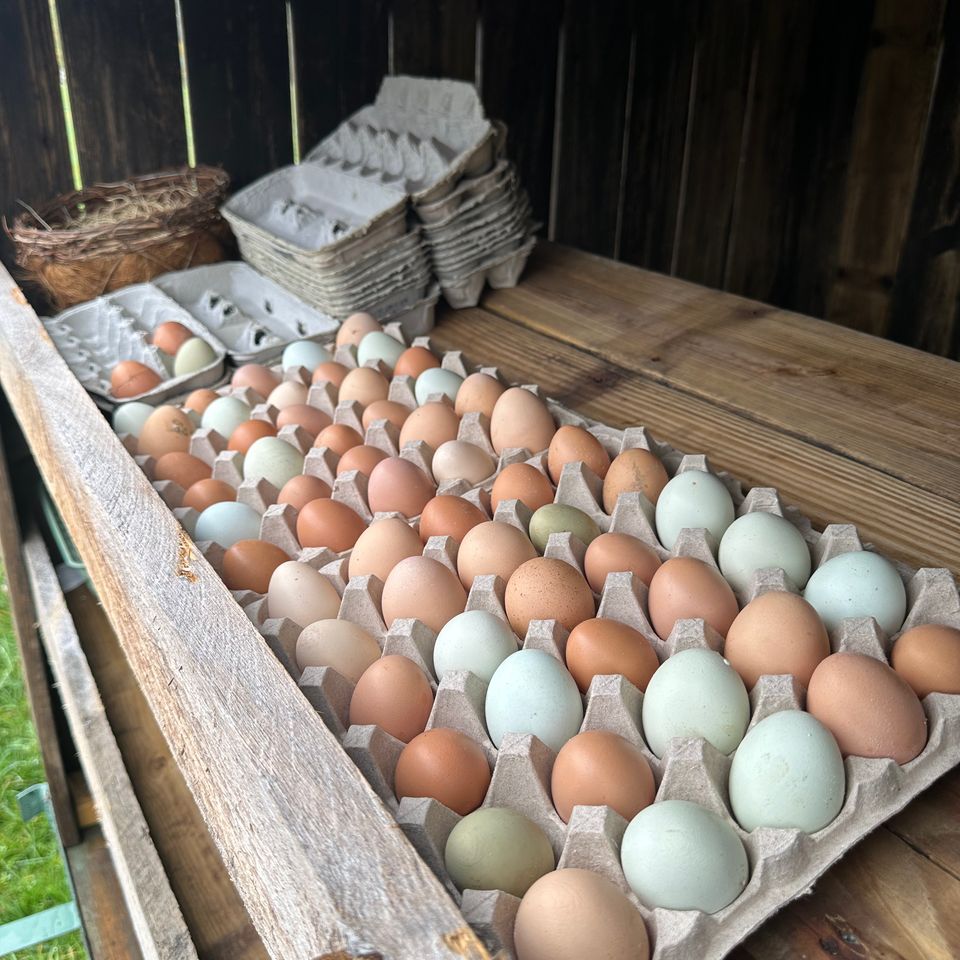 20250924 130151948 ios