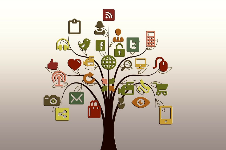 Tree ga08446001 1920