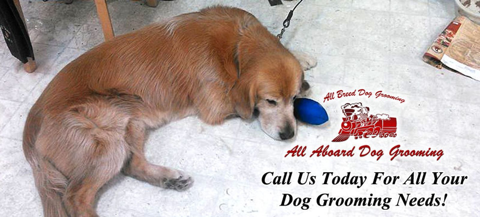 All Aboard Dog Grooming