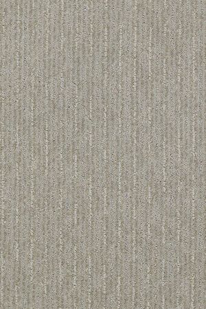 Speed of light   sea salt  3.69