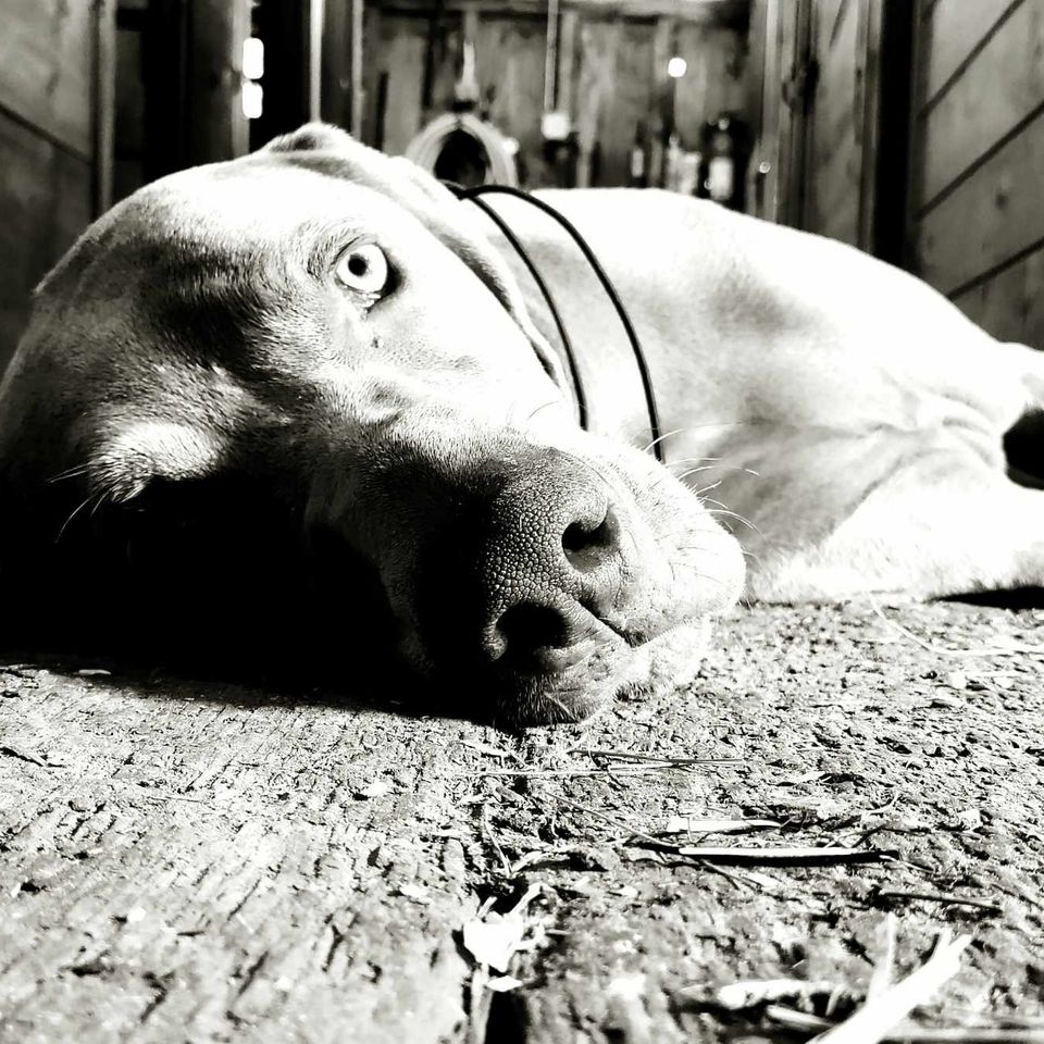 Received 689820706315440 (1)