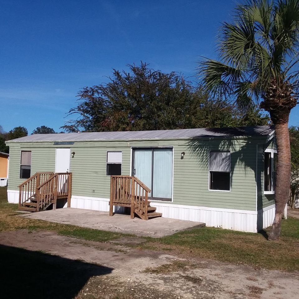 Lot 84 palm
