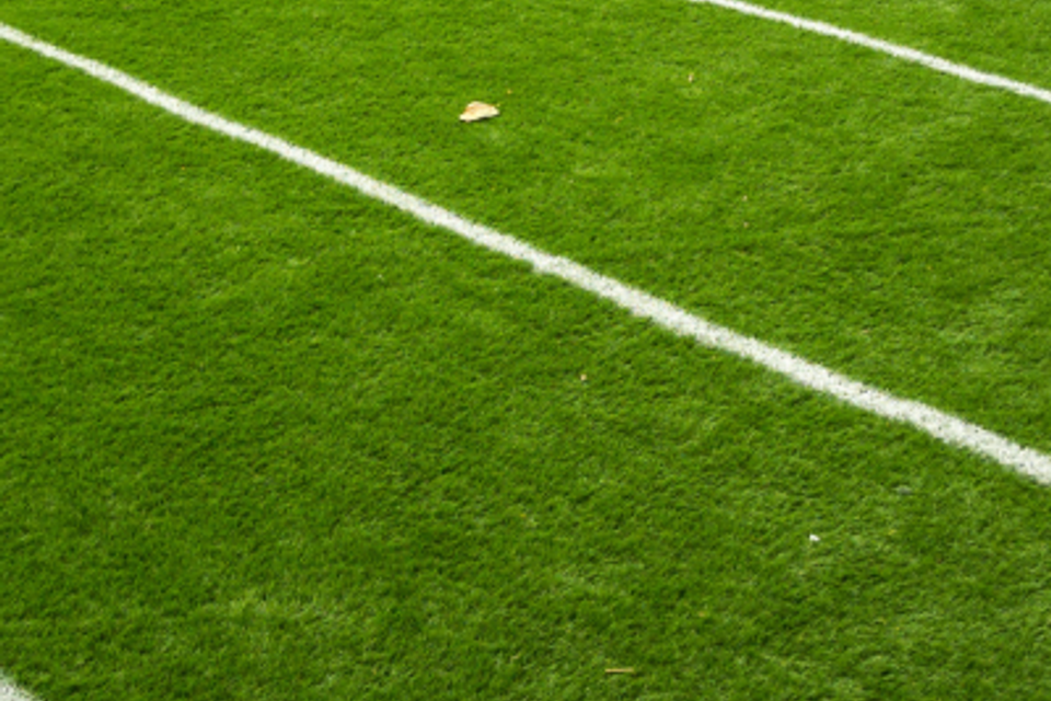 Artifiturf pro sports turf