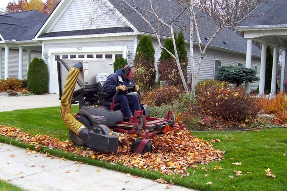 Fall cleanup vacuum for web 3