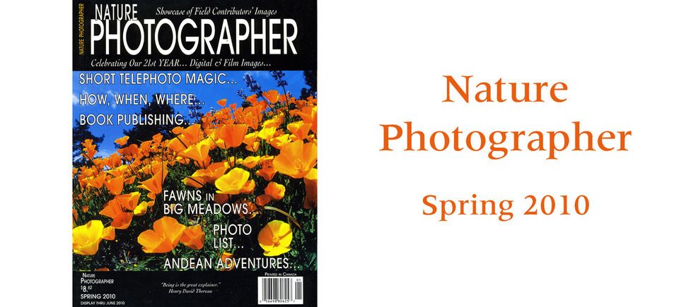 Nature photographer 201020121205 2901 42p39n 0