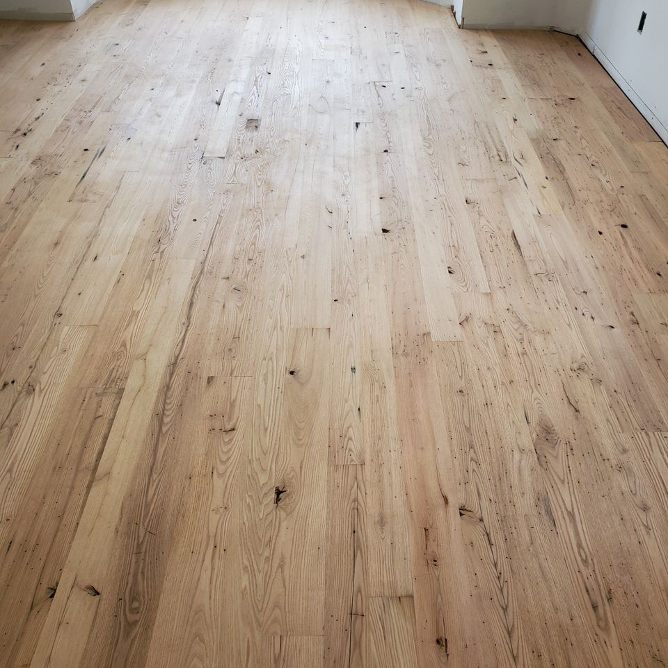 Sun glaring into a room with new hardwood flooring, done by Siti Floors of Northeast Ohio