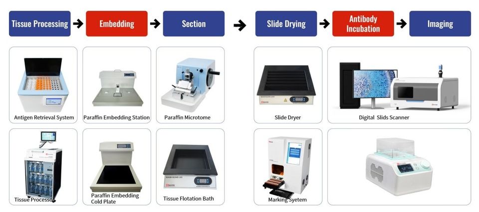 Pathology workflow