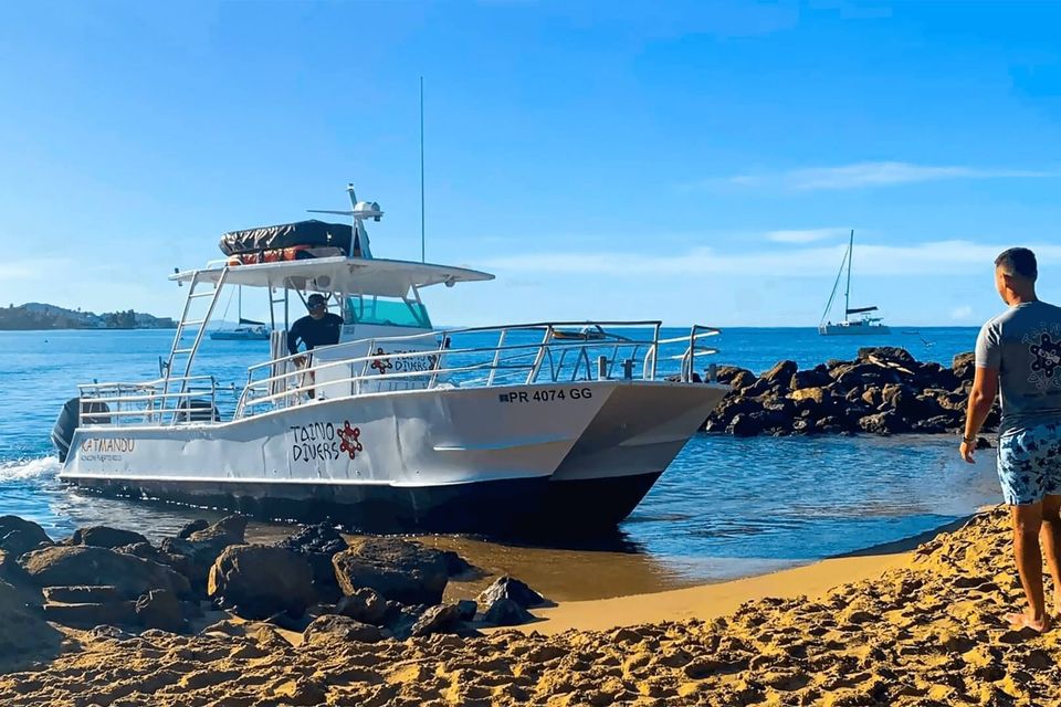 564 black eagle road rincon pr taino divers shipwreck bar and grill 1