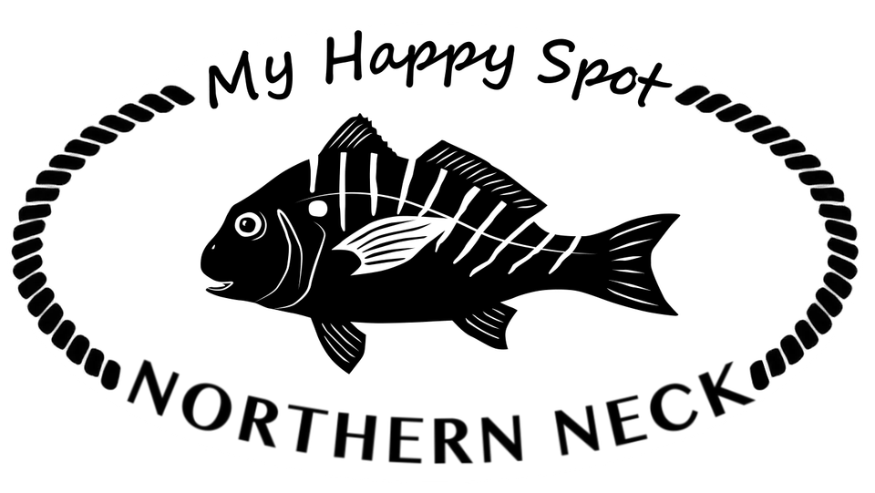 Mhs nn solid decal