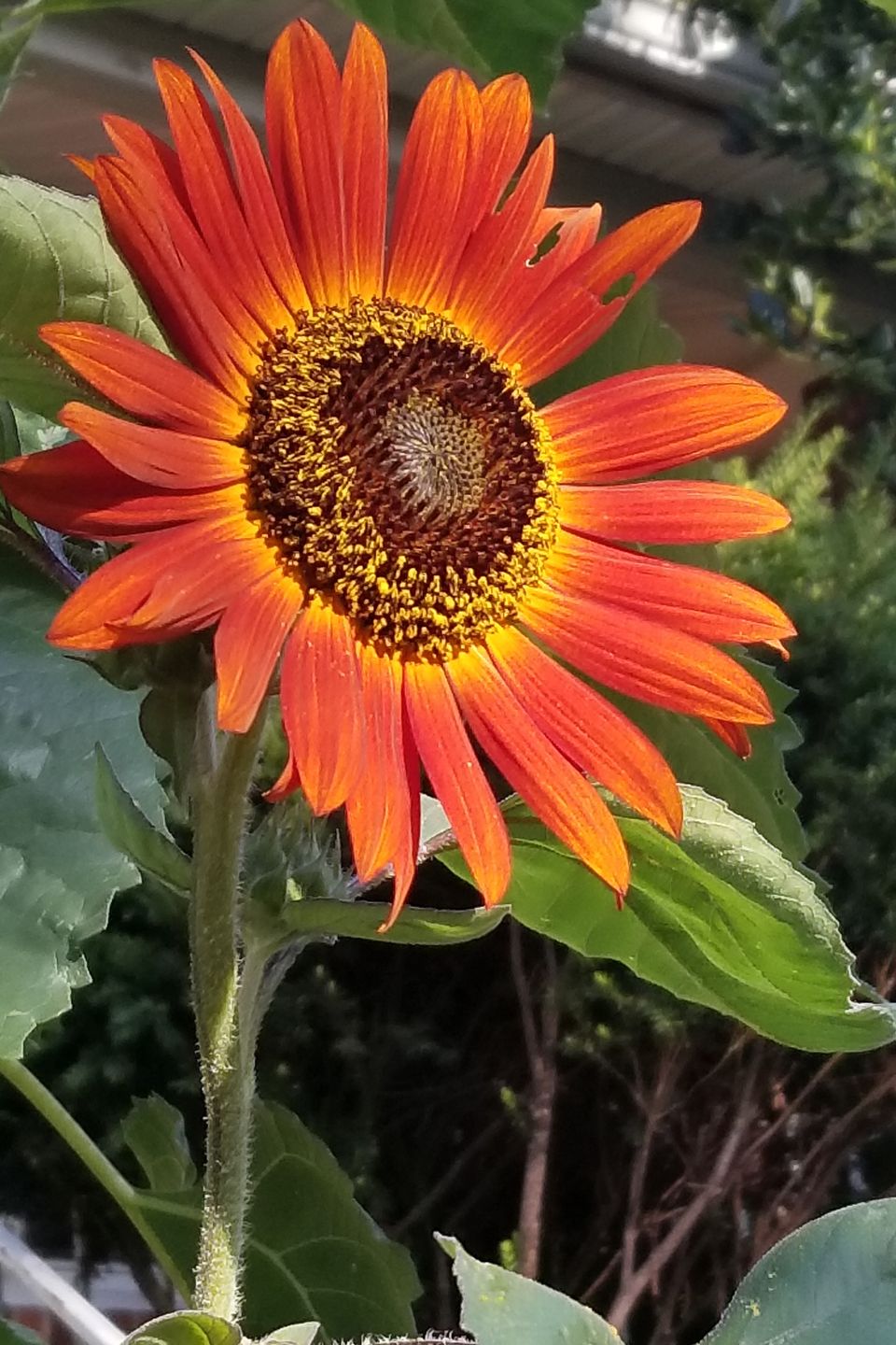 20190724 075738