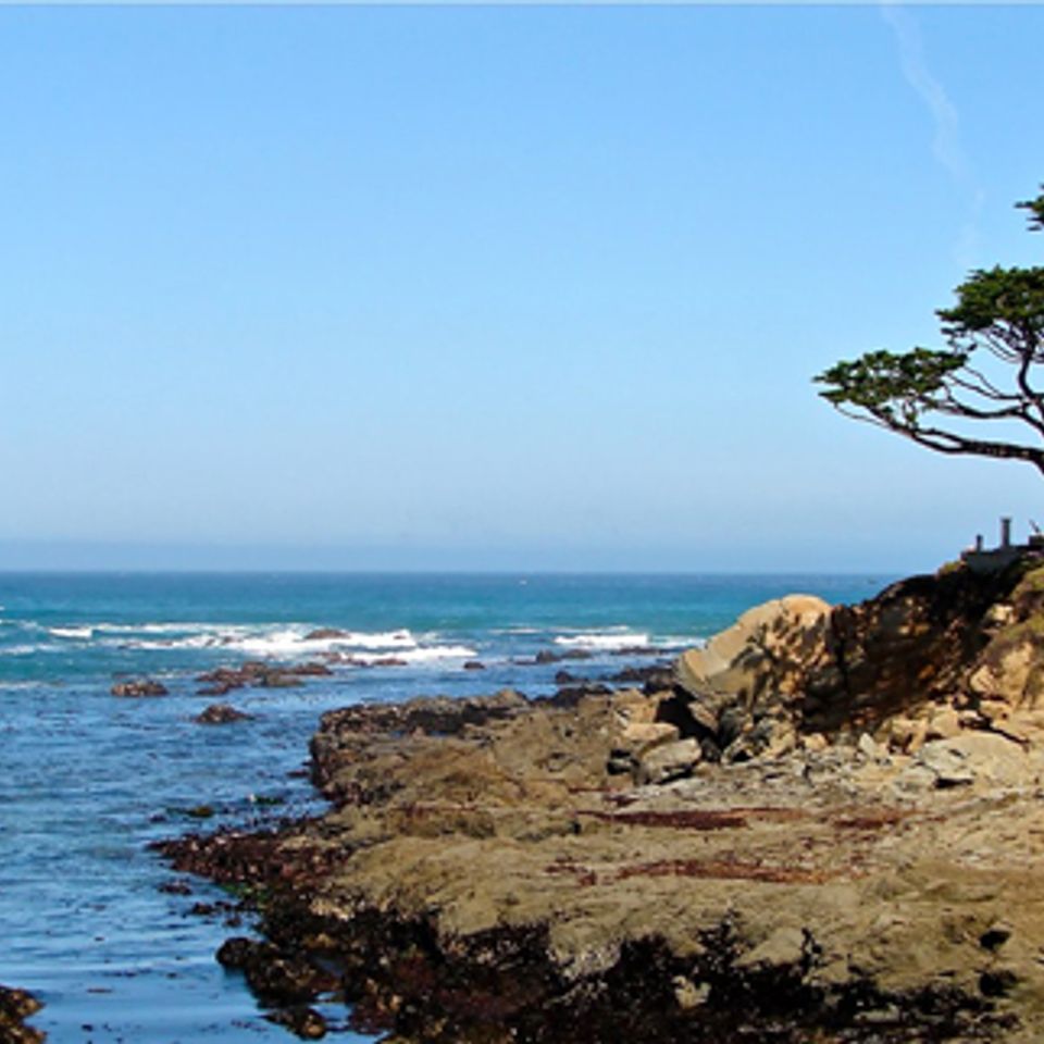Nature4