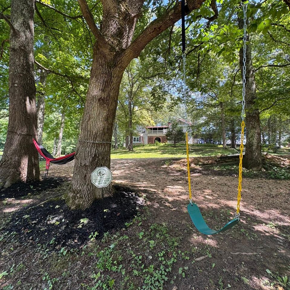 500444696 122176488962583527 155811157773805546 n