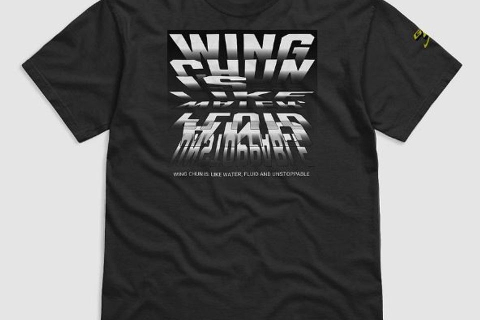 Wing chun is like water image for merch
