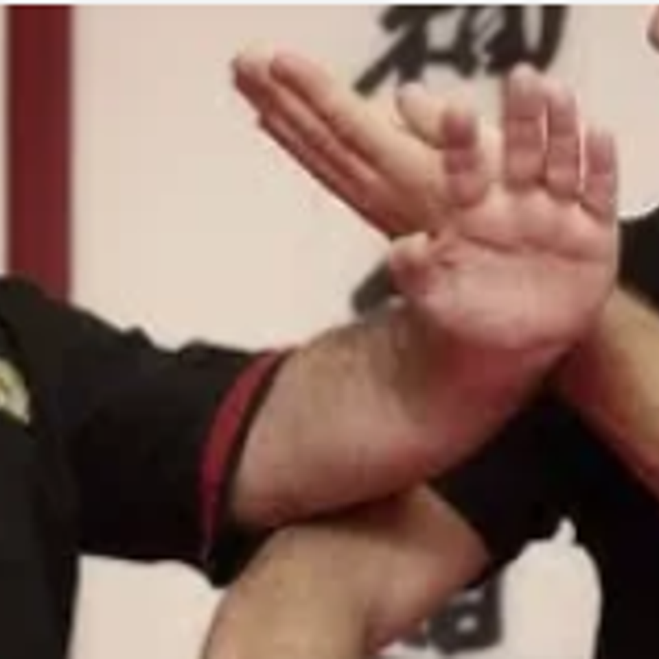Wingtsun lap sao image