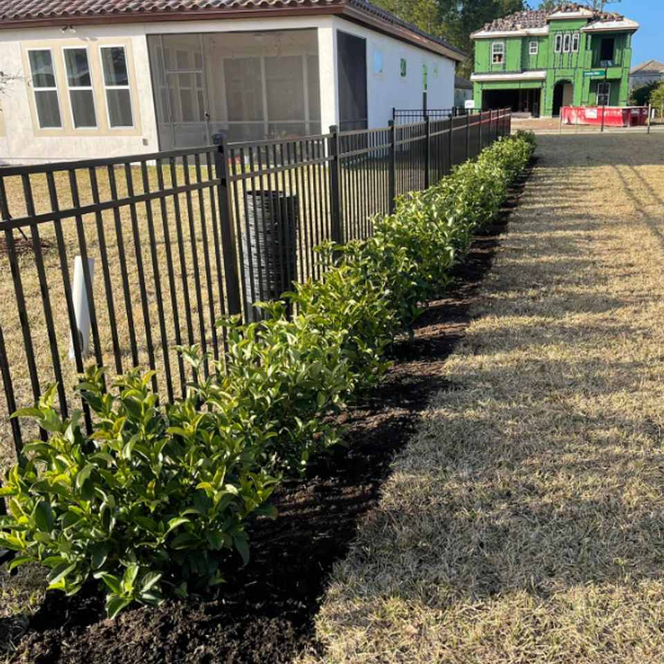 Screenshot 2025 10 20 082005