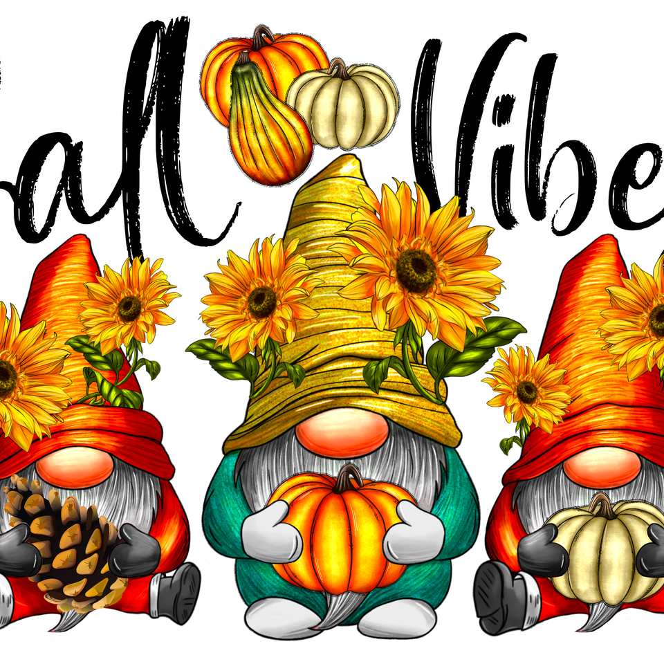 Seasons   fall fall vibes gnomes