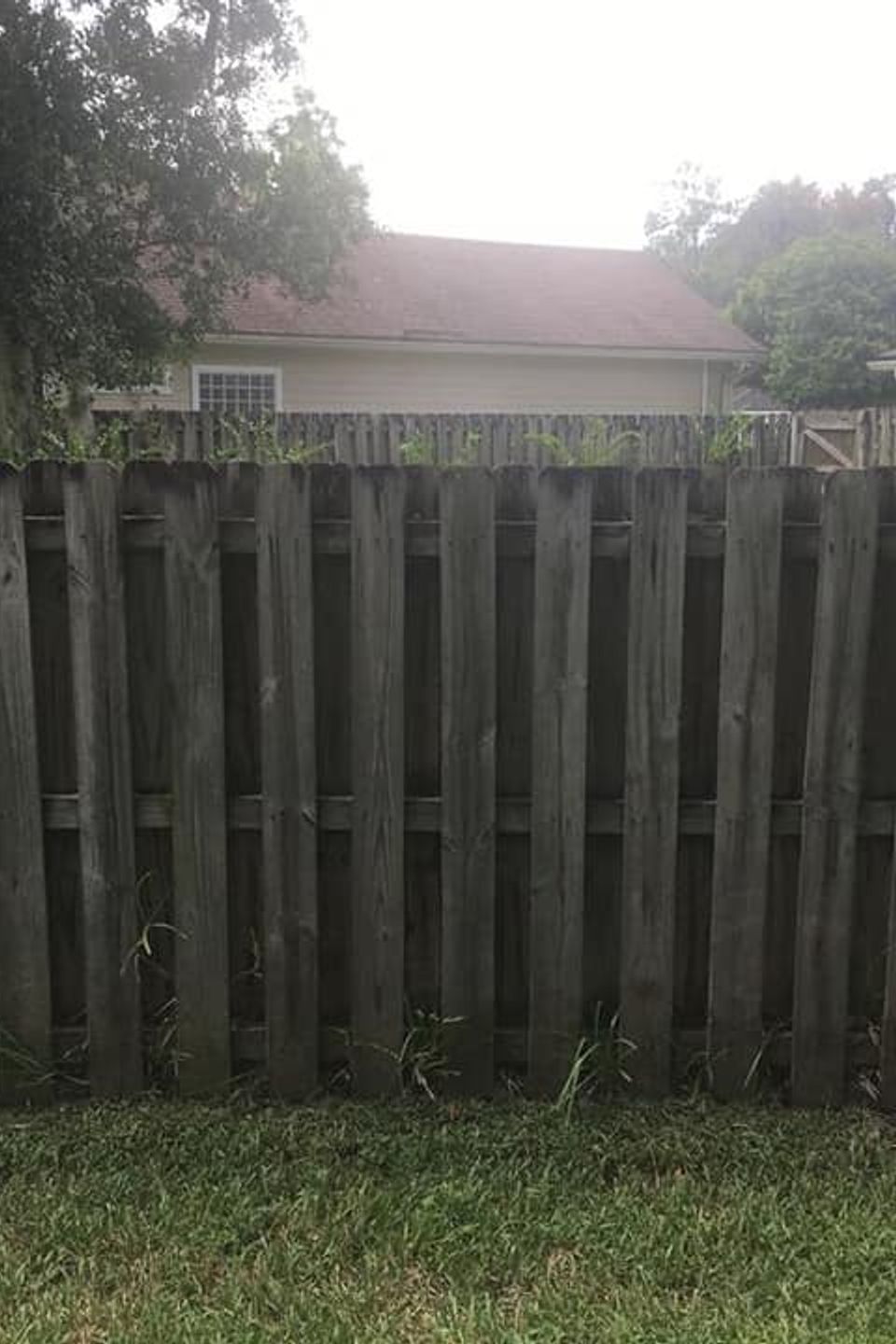 Mr sunshine painting fence before