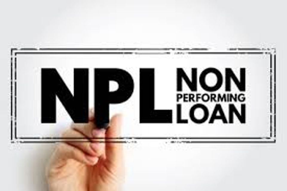 Non performing loans.jpeg 12