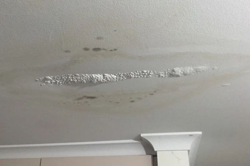 Newport News Roof leak