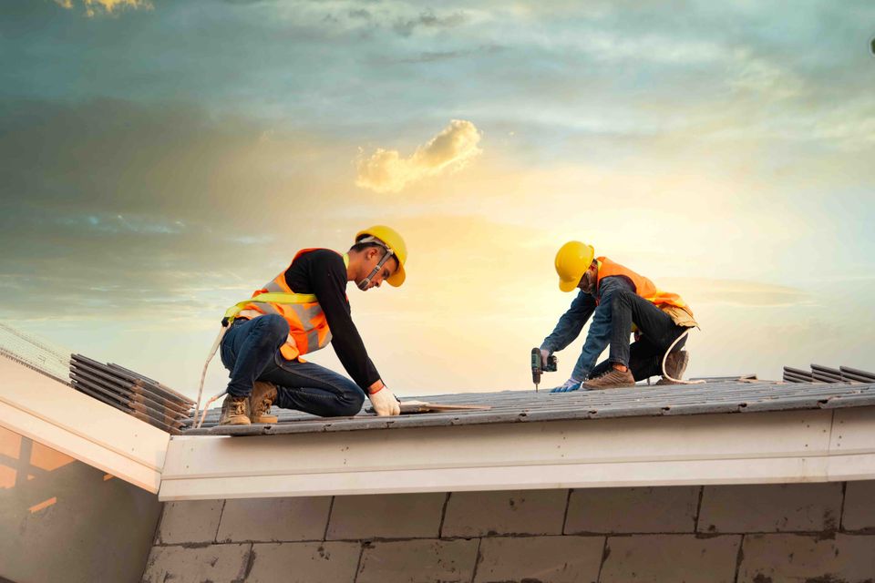 How to start a roofing directory website 