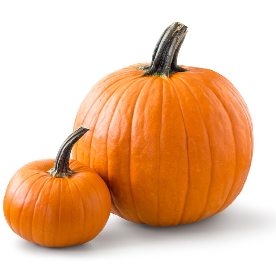 Pumpkins20170321 8561 193fdxq