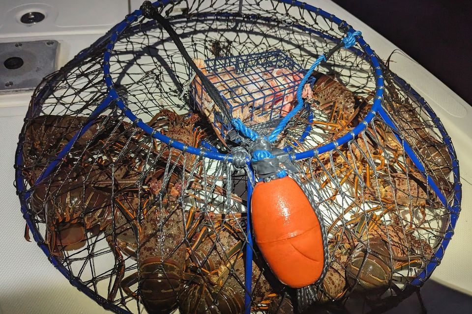 Pxl 20251114 011219293 2