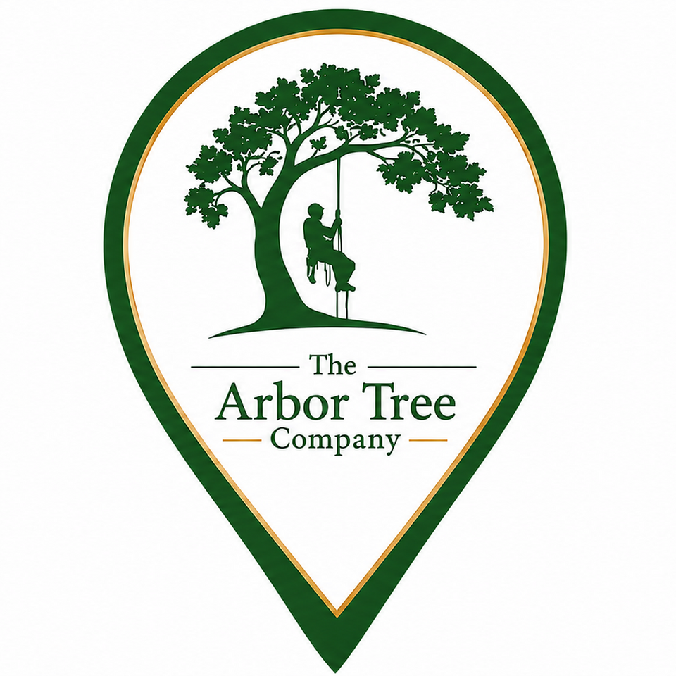 The Arbor Tree Company service area map for professional tree removal and tree trimming in Yolo County, California