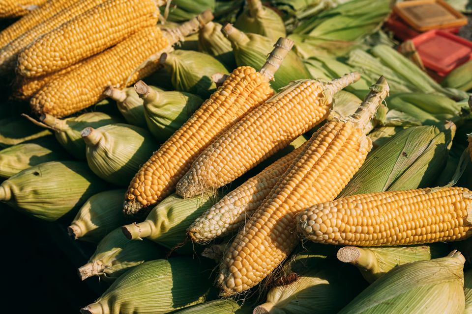 Project full plate corn