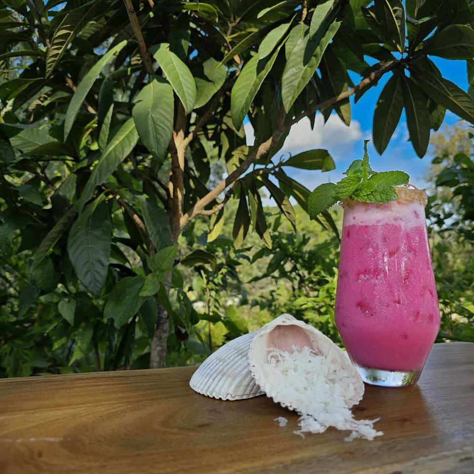 Att.rz2yd4dv8qoc7lof7boyrynkbz6vdtiaqgfvwfcmr g