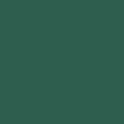 2e5e4e