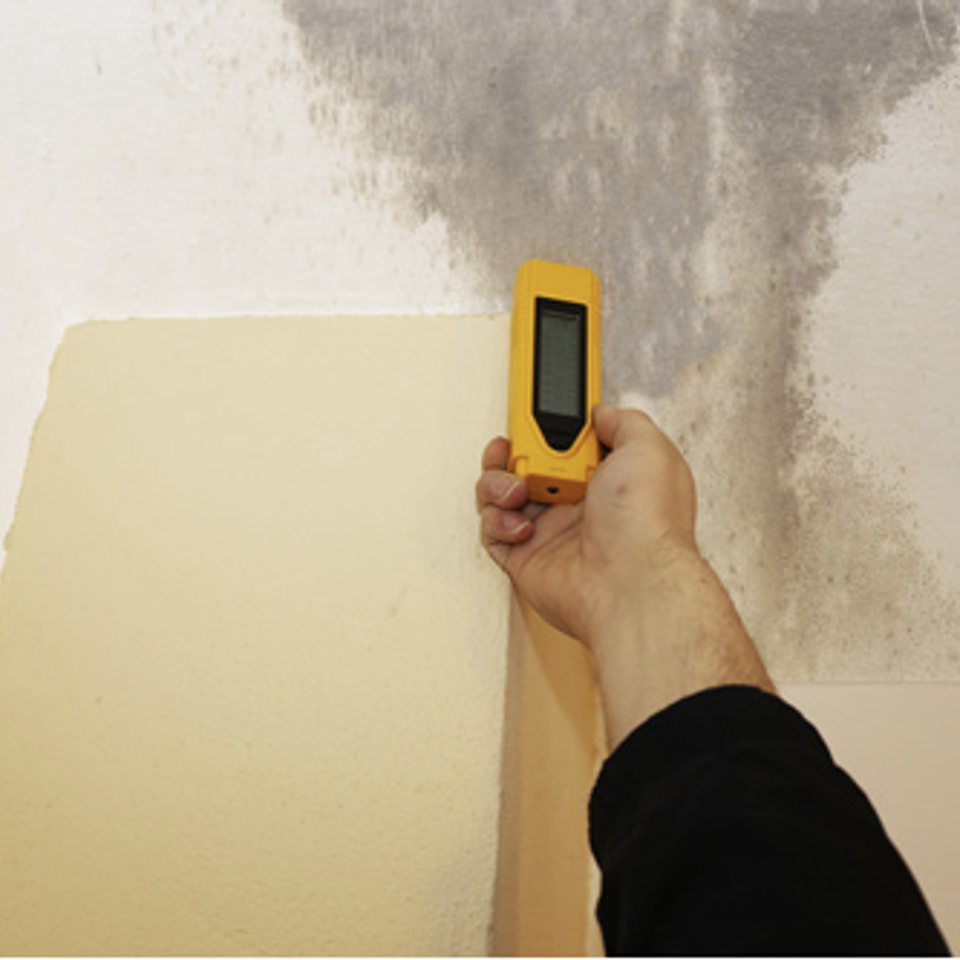 Mold testing