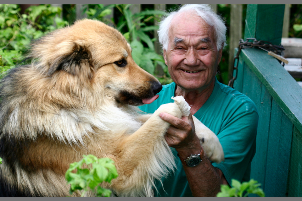 Elderly care blog image pets