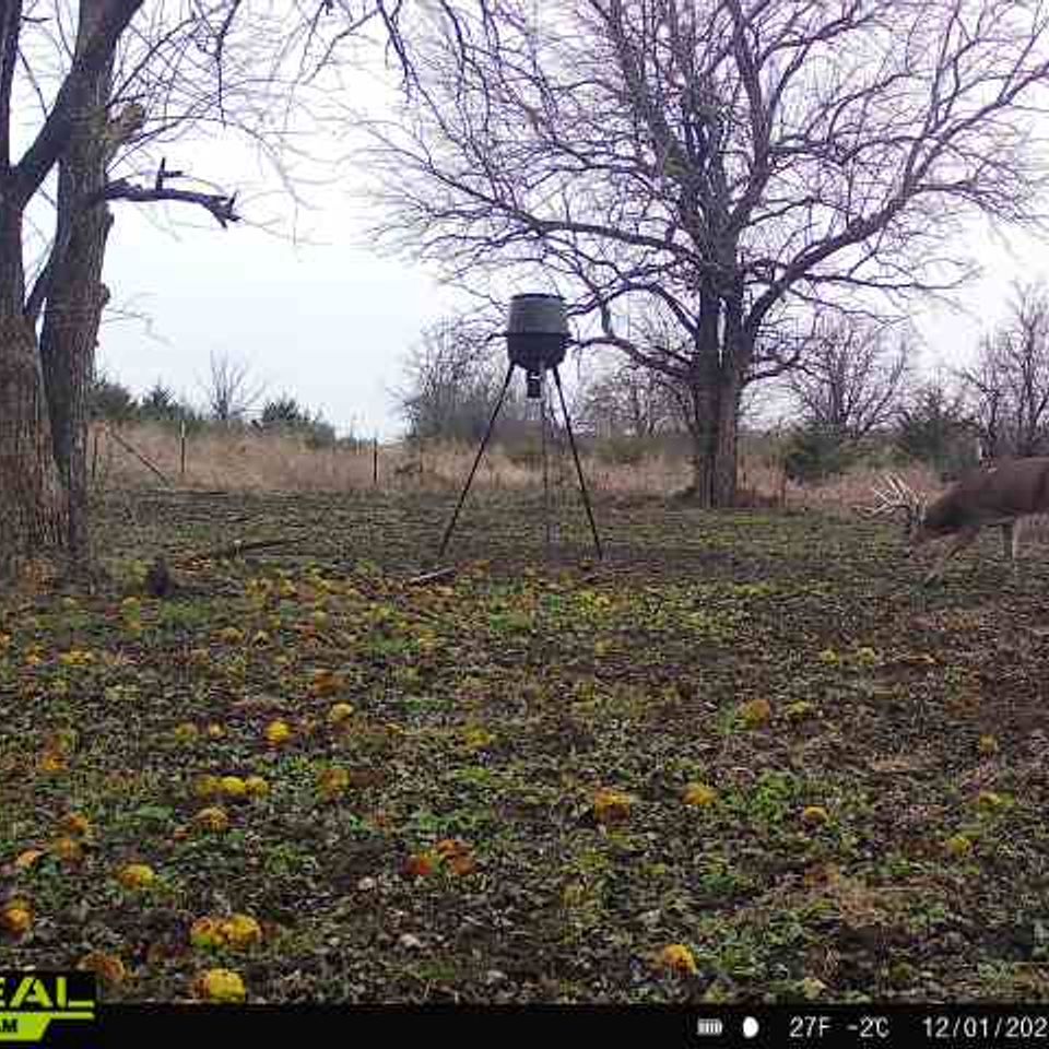 865814044839494 100 4 12012025074656 w1003499