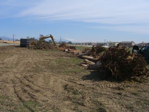Image of Land Clearing in the High Desert of Southern California