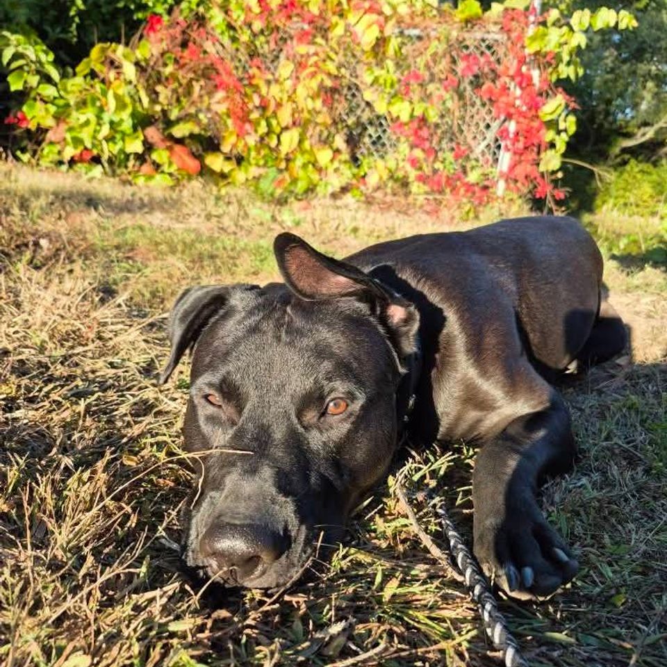 Fb img 1769435348963