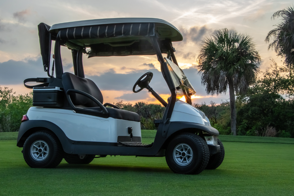 Debnam's Golf Carts, Debnam's Golf Carts Wake County, Wake County Golf Carts, Golf Carts Service Knightdale