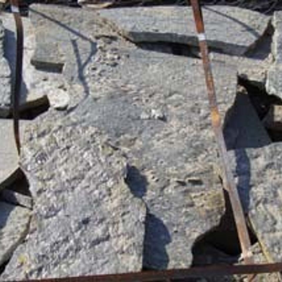 Quartzite20170601 23402 skov0g