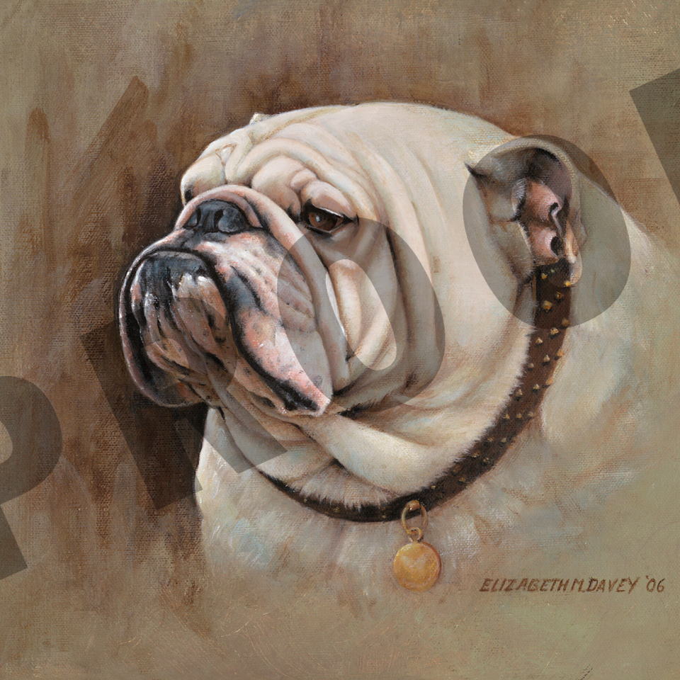 Betty pugilist full frame