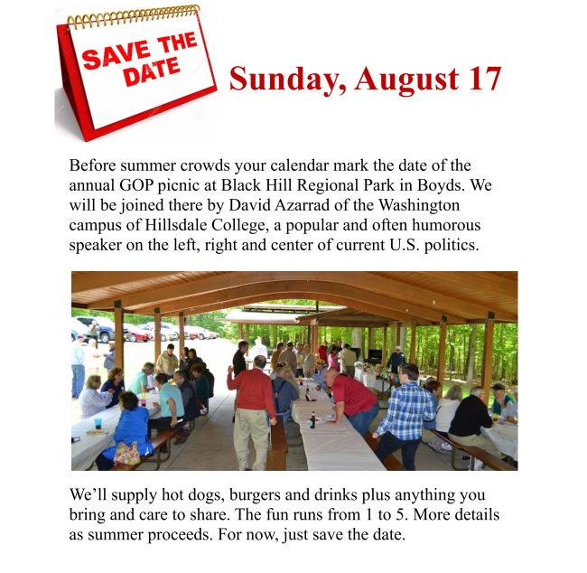 Sunday aug 17 gop picnic flyer