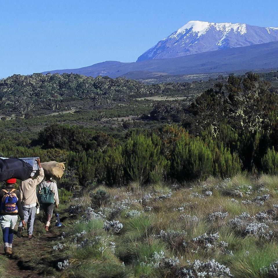 Chuckgraham kilimanjaro img01120121211 21833 8yilrj 0